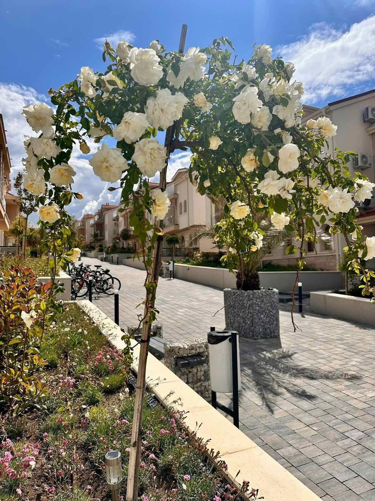 Екстериор 8