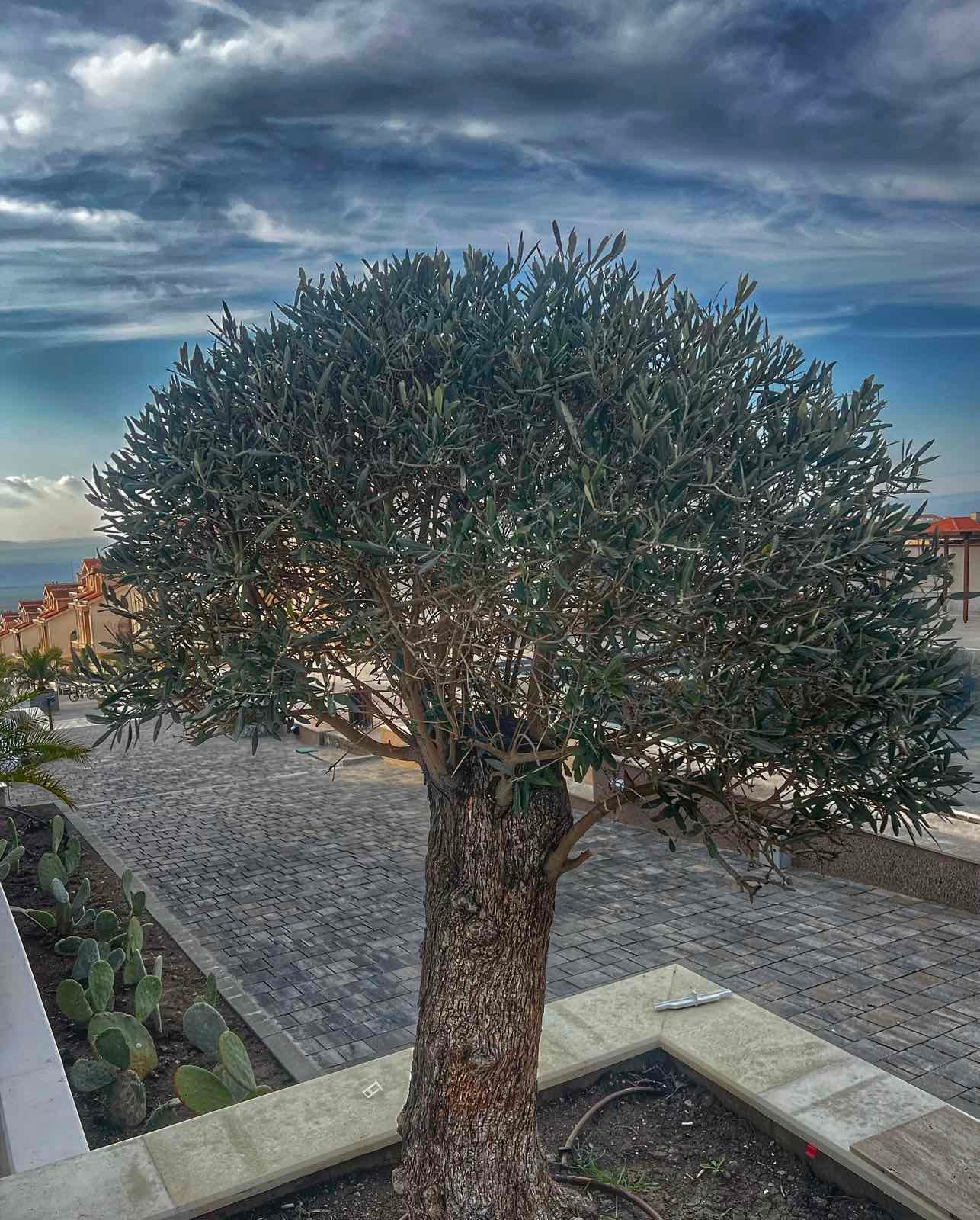 Екстериор 2.2